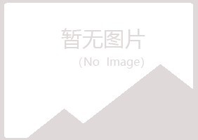 岳西县小夏能源有限公司